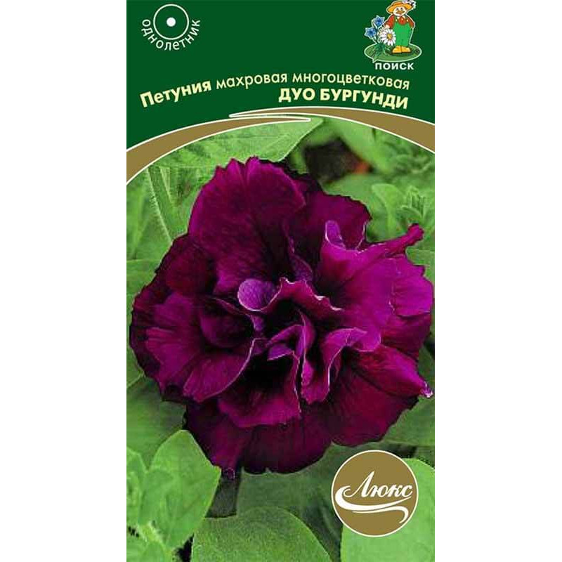 Петуния махровая многоцветковая Дуо бургунди