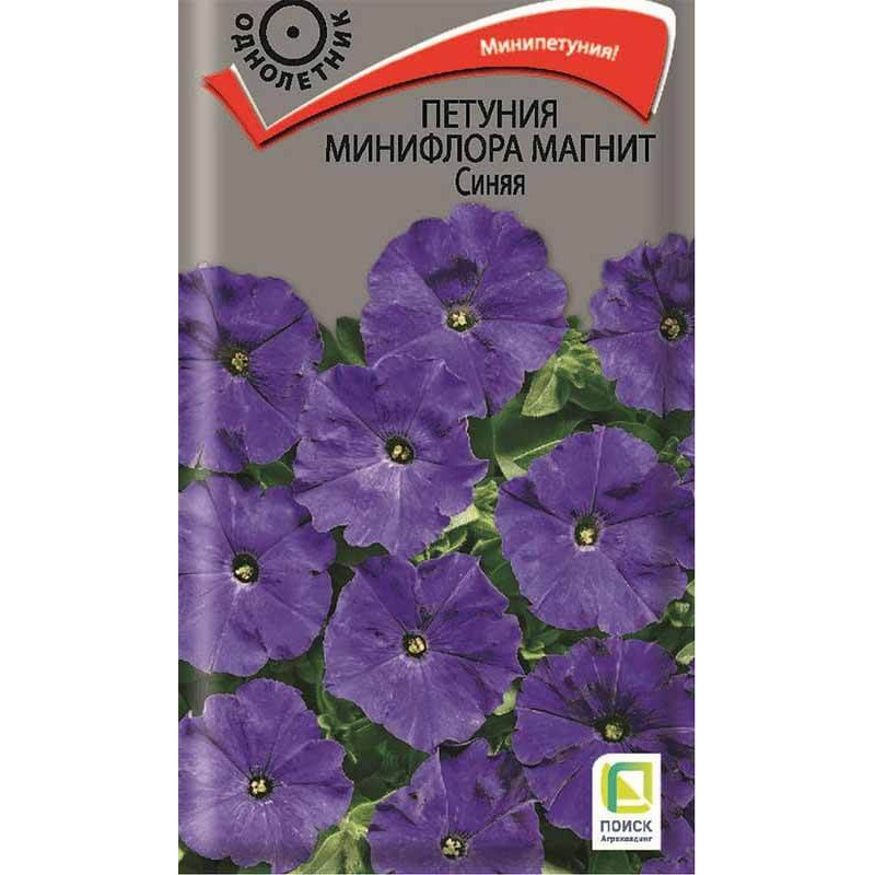 Петуния минифлора Магнит Синяя
