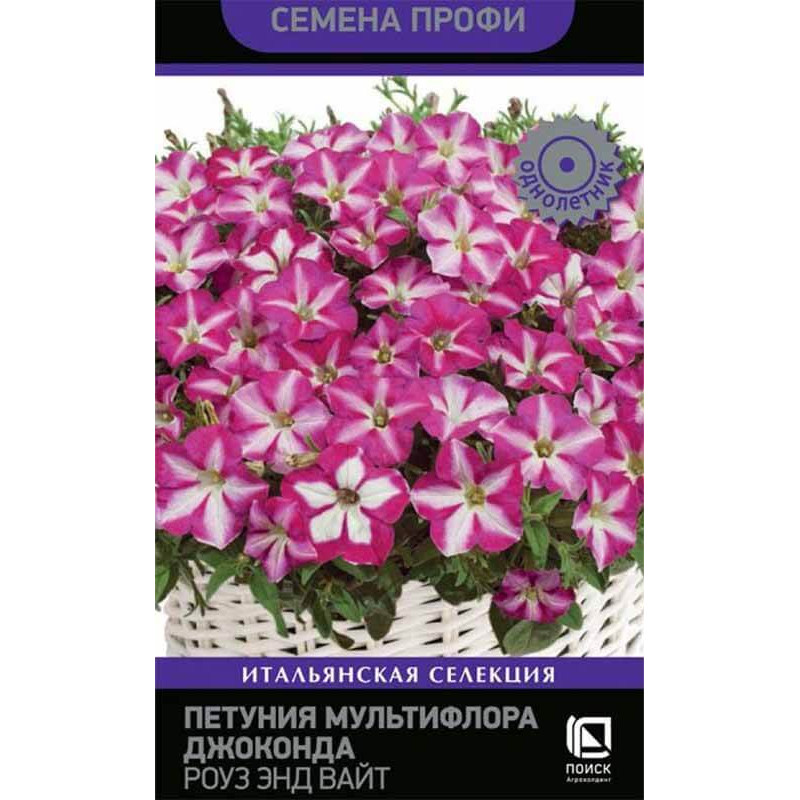 Петуния мультифлора Джоконда Роуз энд Вайт