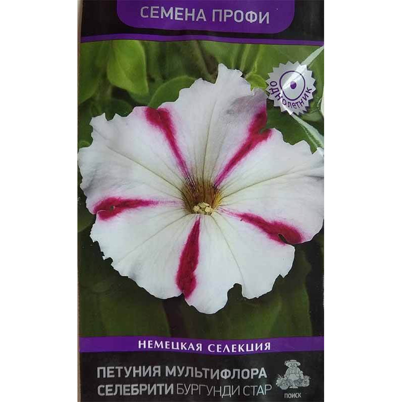 Петуния мультифлора Селебрити Бургунди Стар
