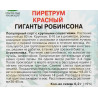 Пиретрум красный Гиганты Робинсона