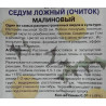 Седум ложный Малиновый