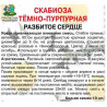 Скабиоза темно-пурпурная Разбитое сердце