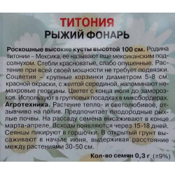 Титония Рыжий фонарь
