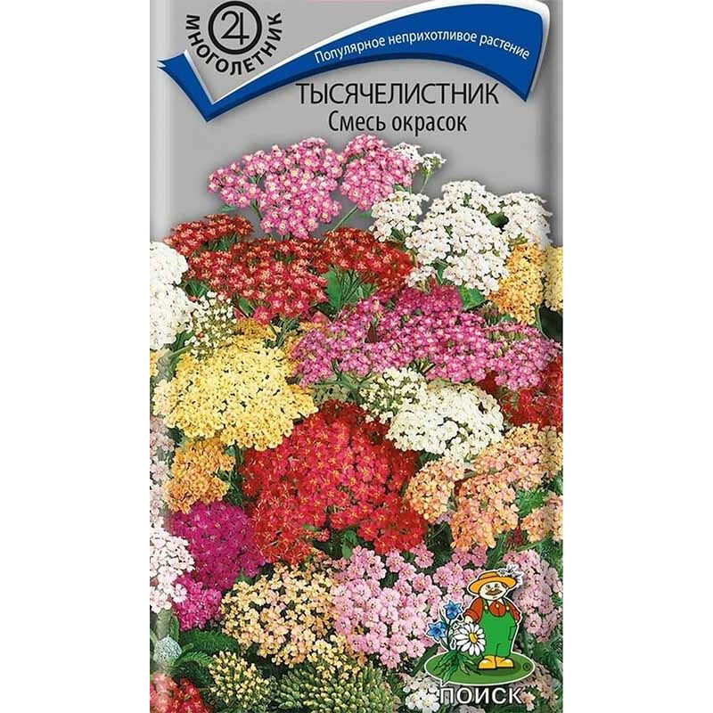 Тысячелистник Смесь окрасок