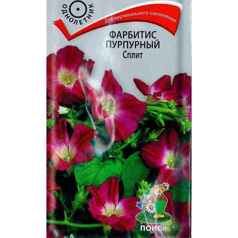 Фарбитис пурпурный Сплит