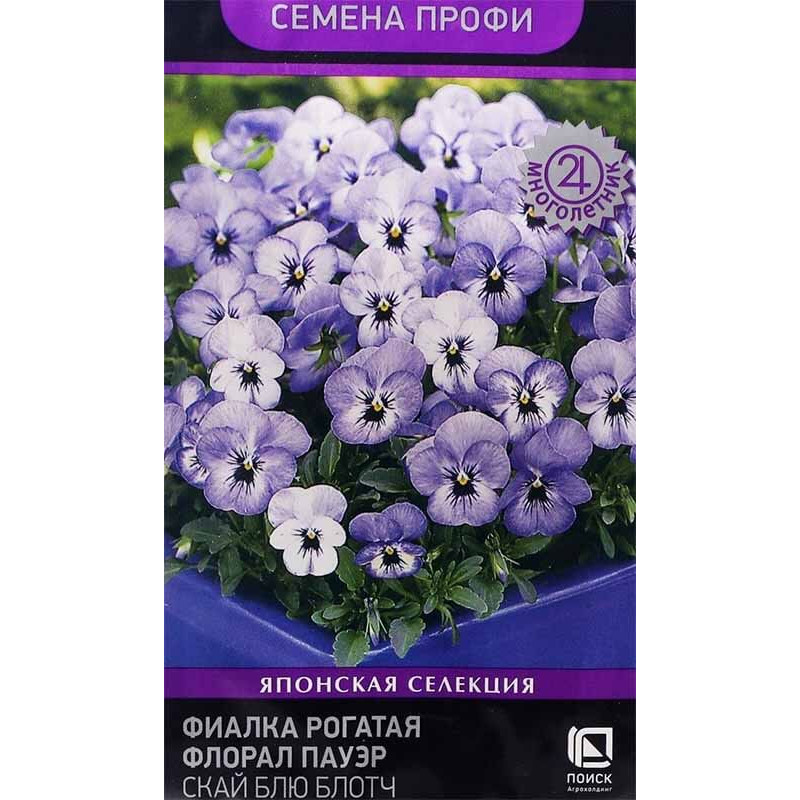 Фиалка рогатая Флорал Пауэр Скай Блю Блотч