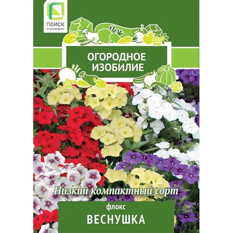 Флокс Веснушка