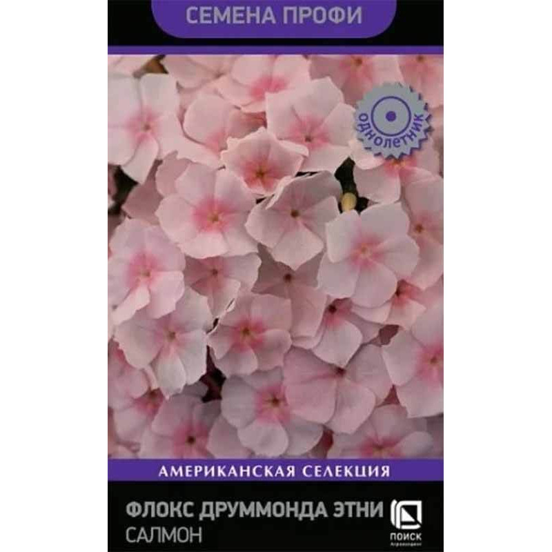 Флокс друммонда Этни Салмон