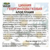 Цинния георгиноцветковая Алое пламя