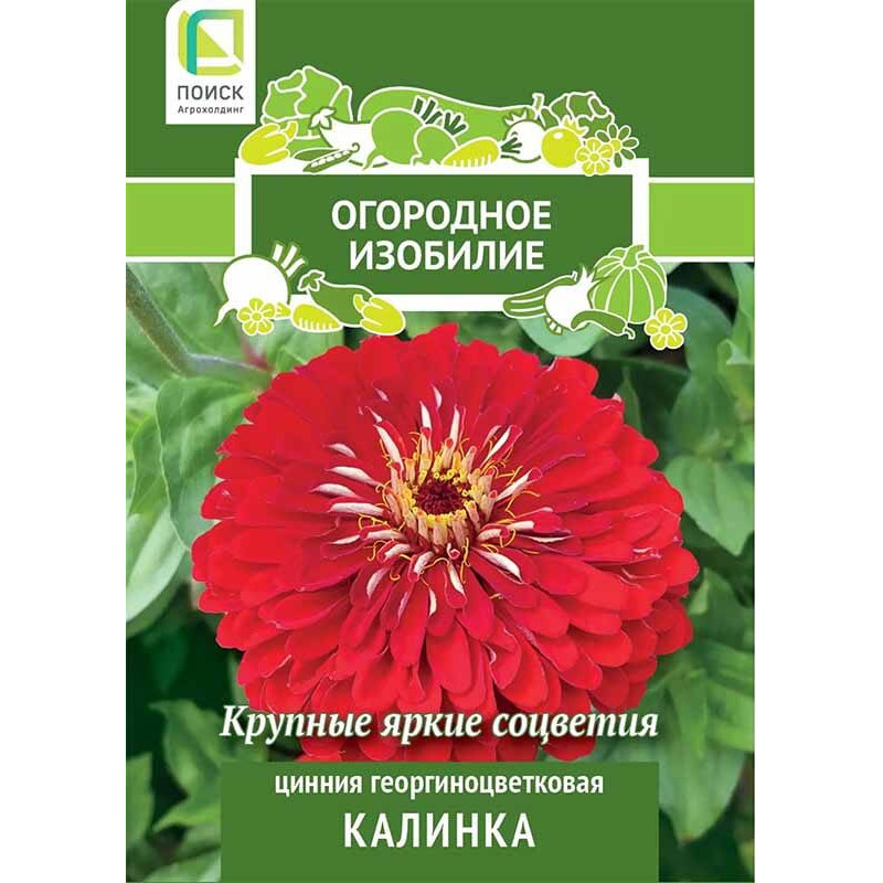 Цинния георгиноцветковая Калинка