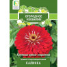 Цинния георгиноцветковая Калинка