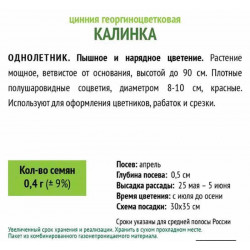 Цинния георгиноцветковая Калинка