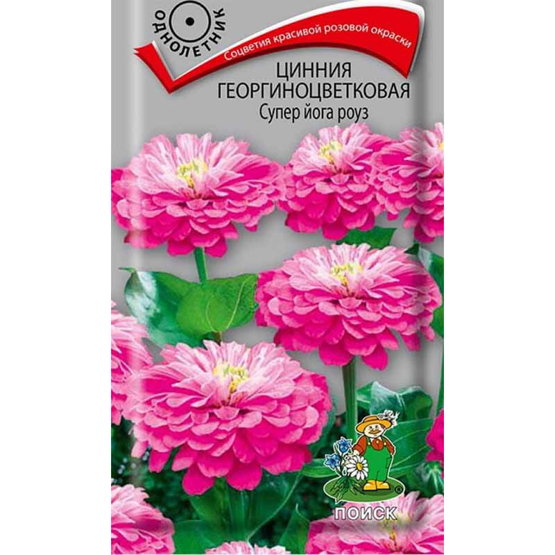 Цинния георгиноцветковая Супер йога роуз