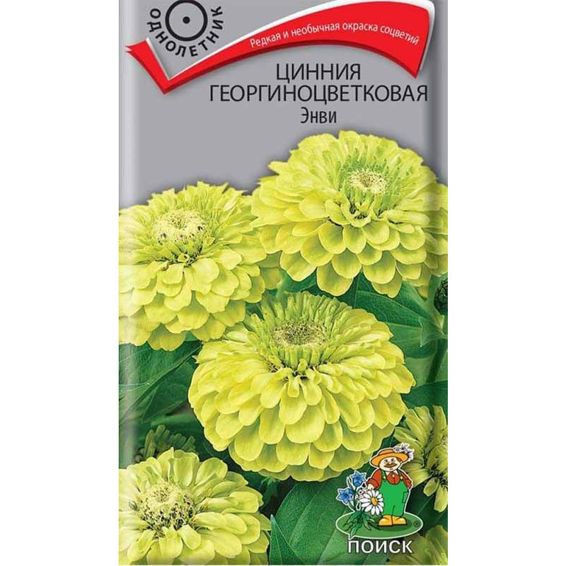 Цинния георгиноцветковая Энви