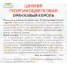 Цинния георгиноцветковая Оранжевый король