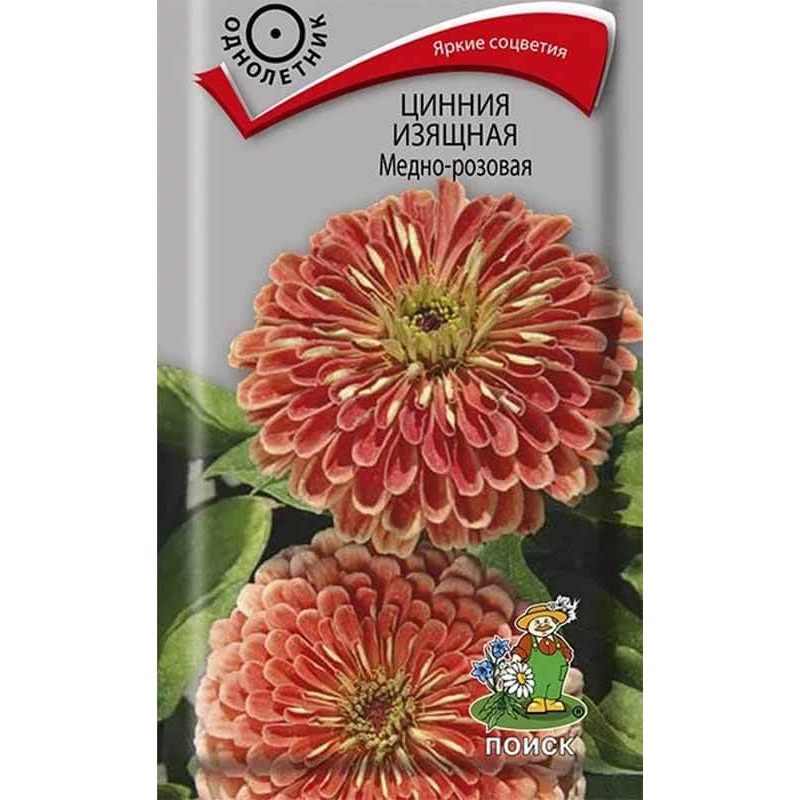 Цинния изящная Медно-розовая