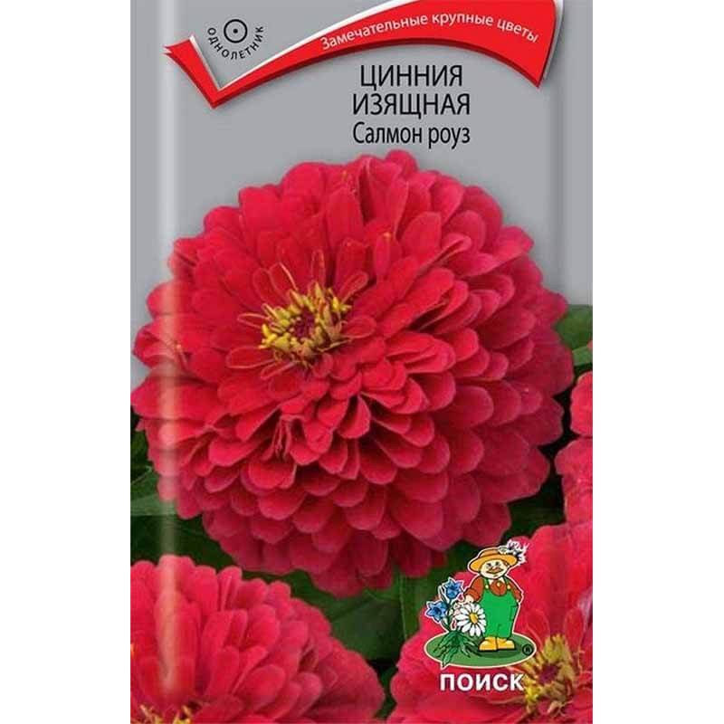 Цинния изящная Салмон роуз