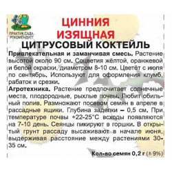 Цинния изящная Цитрусовый коктейль