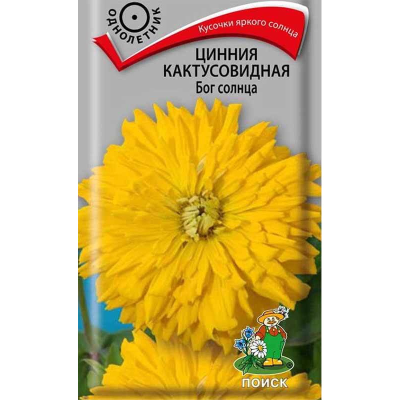 Цинния кактусовидная Бог солнца