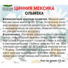 Цинния Мексика Ольмека
