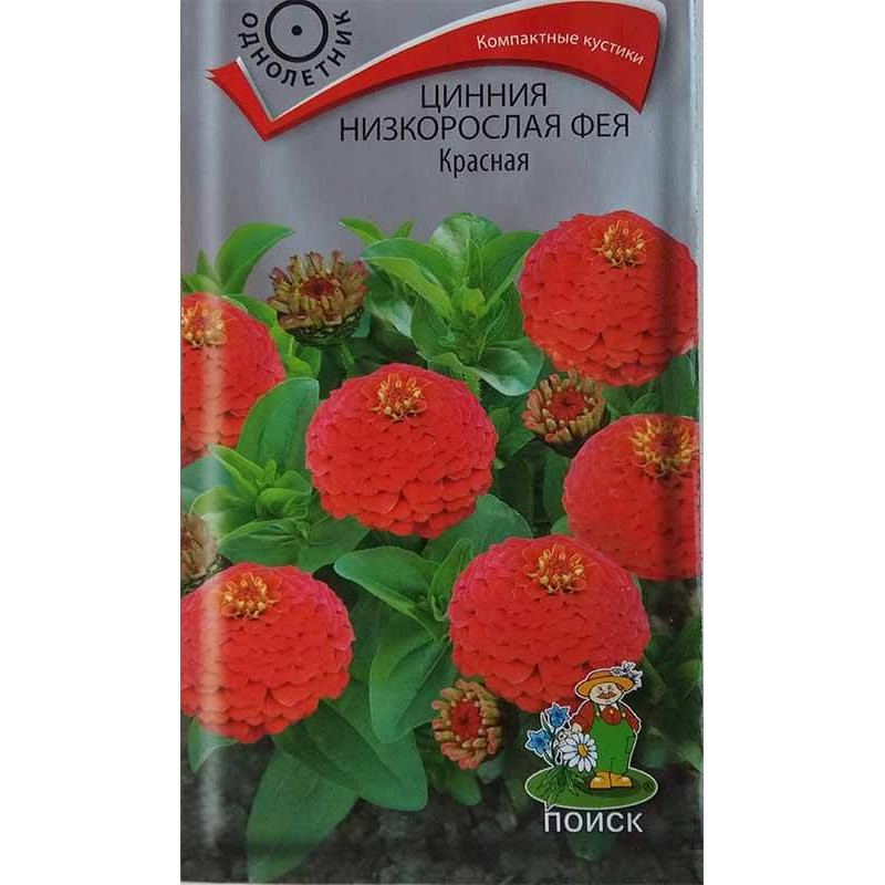 Цинния низкорослая Фея Красная