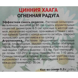 Цинния Хаага Огненная радуга