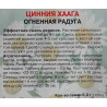 Цинния Хаага Огненная радуга