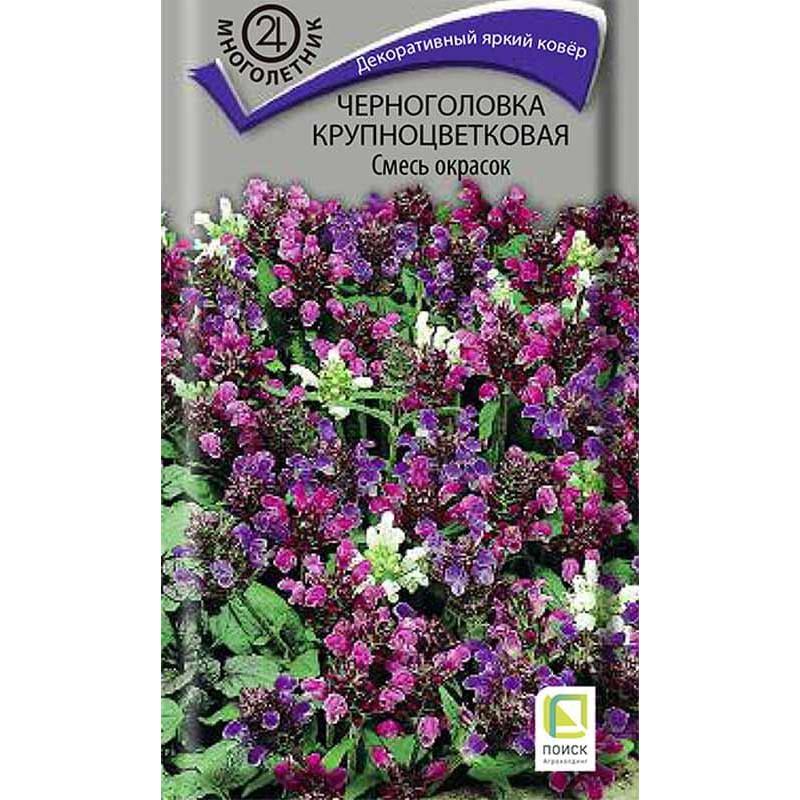 Черноголовка крупноцветковая Смесь окрасок