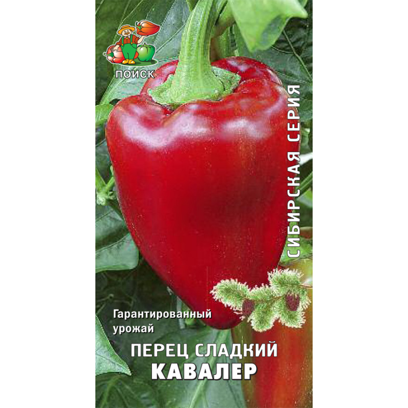 Перец сладкий Кавалер