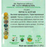 Редис Краса Алтая
