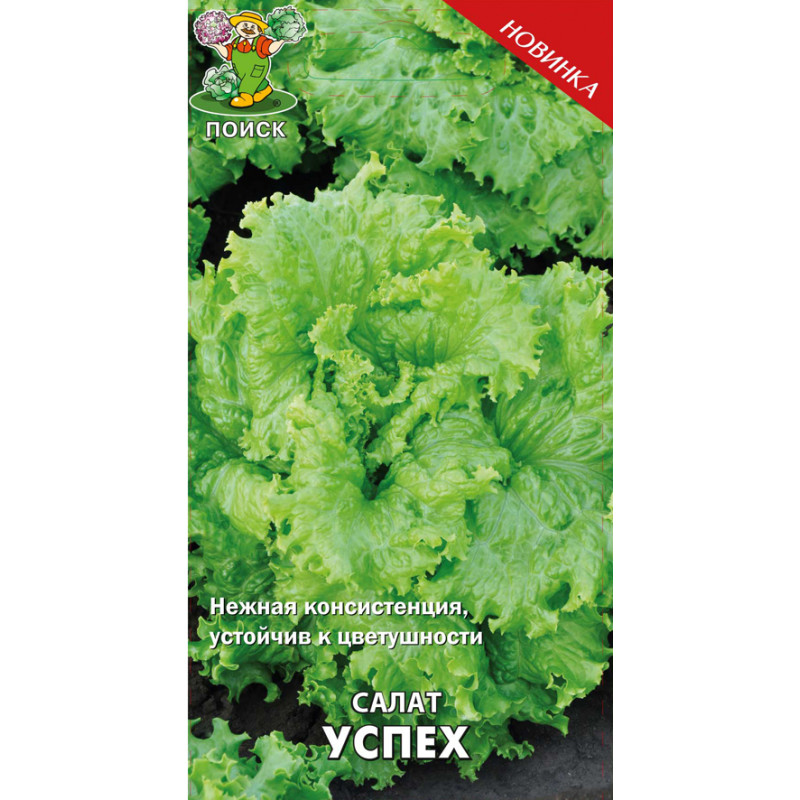 Салат листовой Успех