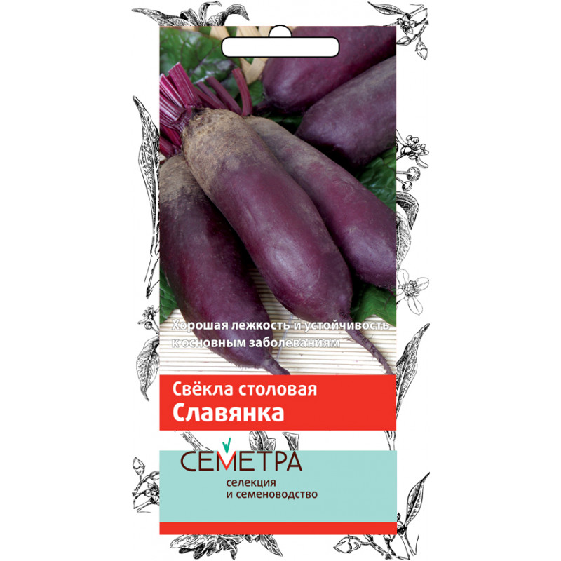 Свекла столовая Славянка